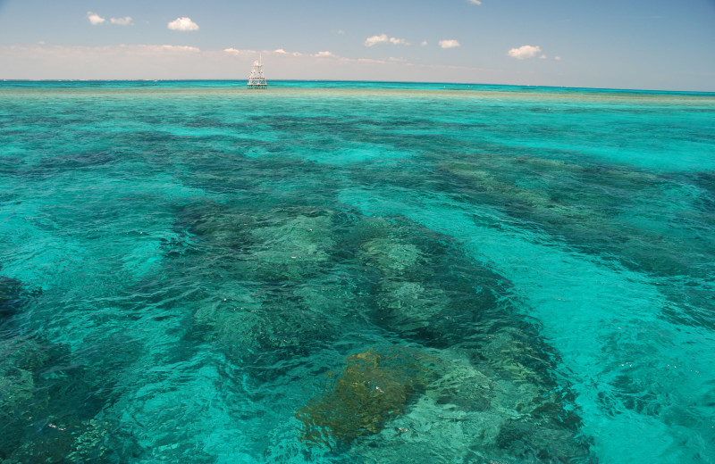 John Pennekamp Coral Reef State Park near Walker Vacation Rentals.