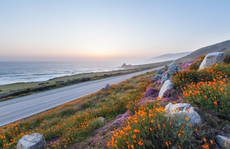 Beach at Sonoma Coast Villa & Spa Resort.