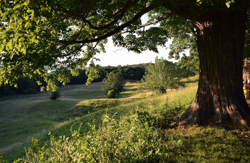 View from Vanderbilts mansion near Journey Inn Bed & Breakfast.