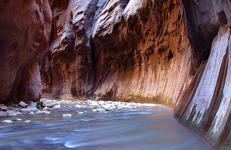 Zion National Park near St. George Inn & Suites. 