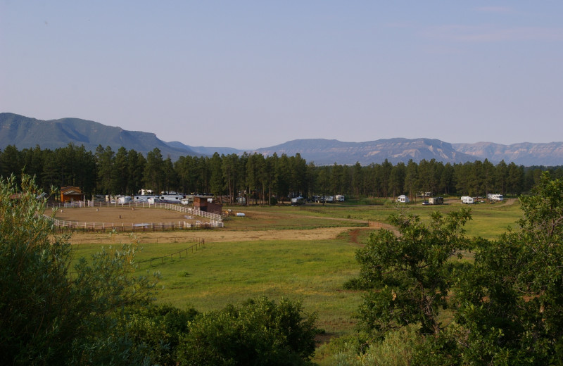 Exterior view of Echo Basin Cabin And RV Resort.