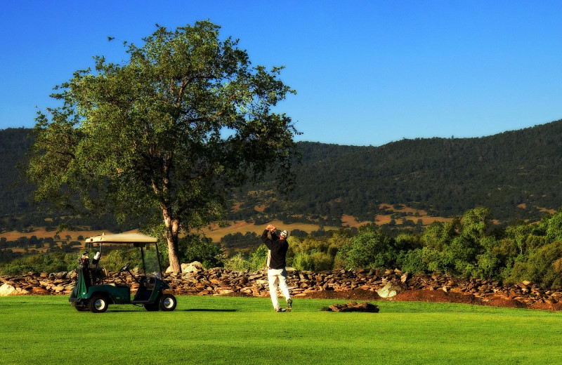 Golf course at Greenhorn Creek Resort.