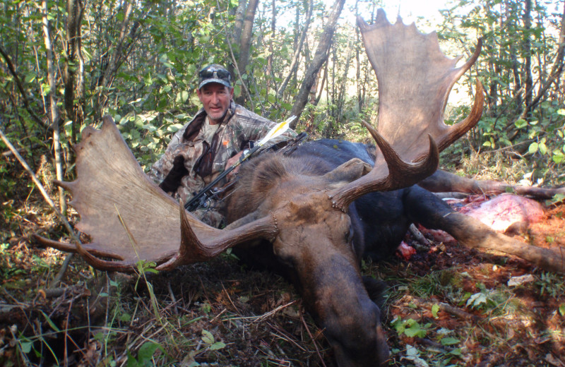 Moose hunting at Maynard Lake Lodge and Outpost.