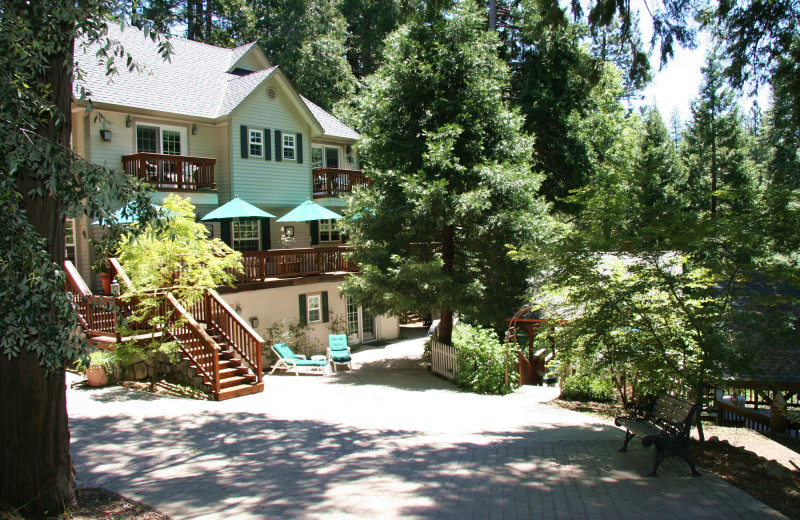 Exterior view of McCaffrey House Bed and Breakfast.