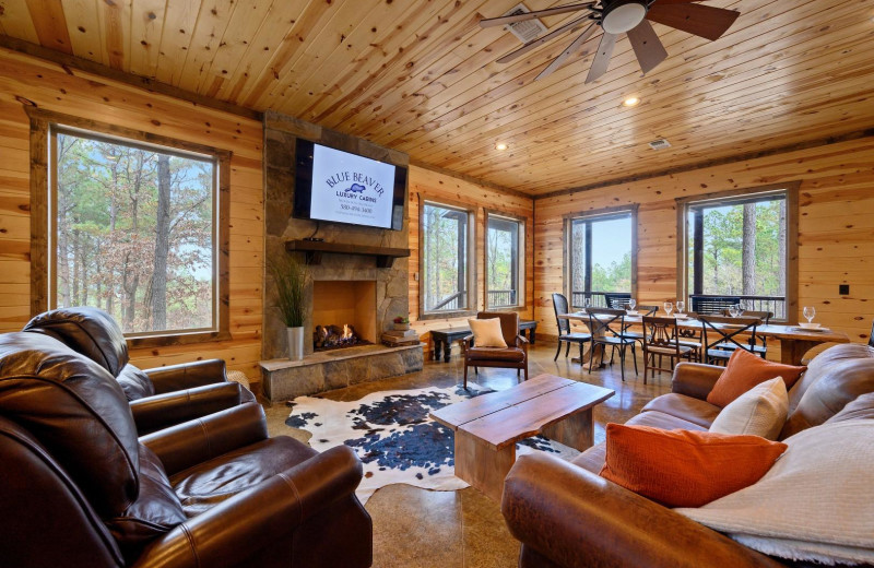 Rental living room at Blue Beaver Luxury Cabins.
