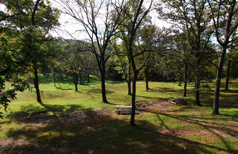 Beautiful surroundings at Ozark Cabins.