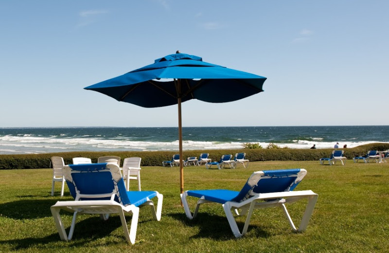 Patio chairs at Beachmere Inn.
