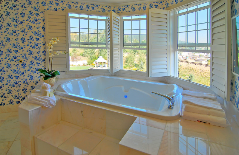 UltraBath Therapy tub for two has a view of the trees and mountains.  Rain Shower.  Kitchenette.  Enjoy listening to the waterfalls outside your windows at night.  The Ashley Inn 