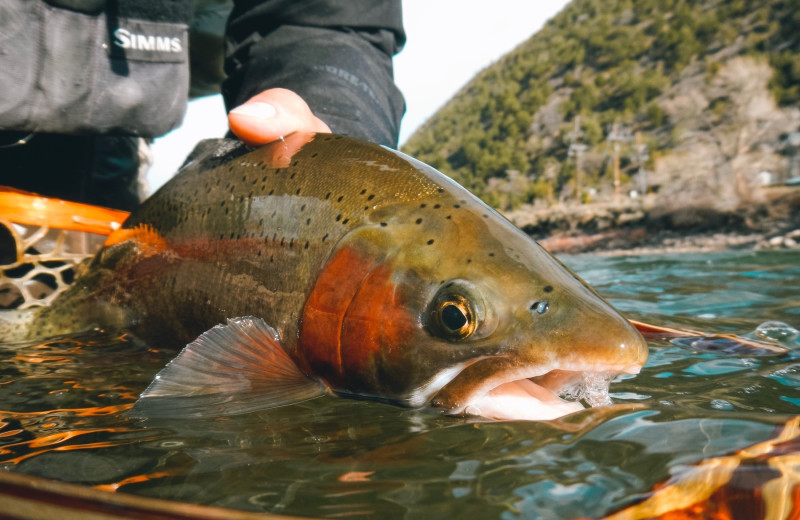 Fishing at Glenwood Hot Springs Resort.