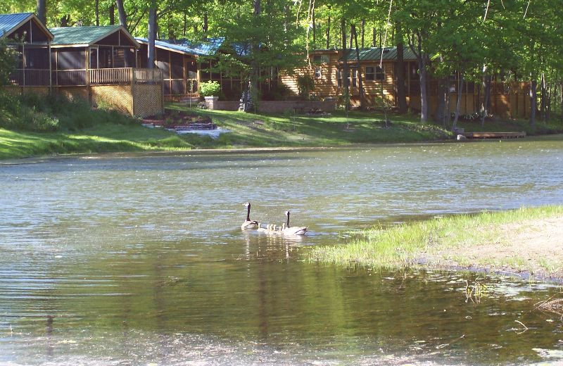 Exterior view of Lakeside Cabins Resort.