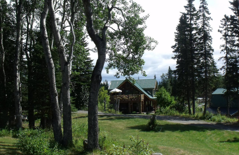 Exterior view of Hungry Moose Bed and Breakfast.