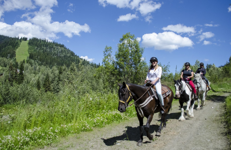 Horseback riding at Bear Country Property Management (2018) Ltd.