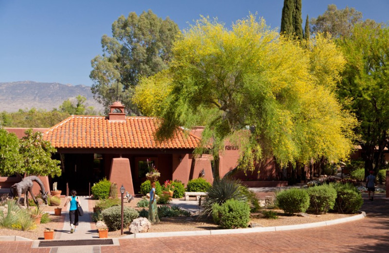 Exterior view of Canyon Ranch Tucson.