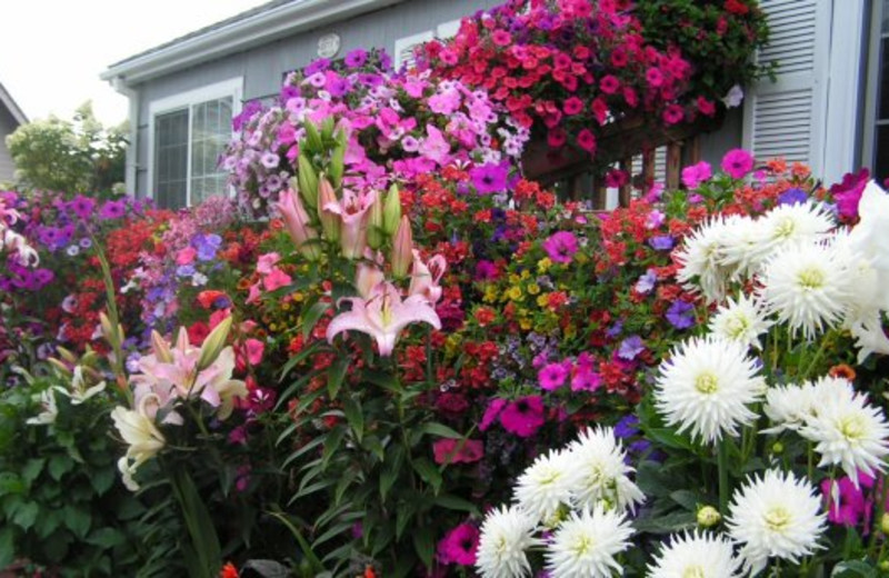 Exterior with flowers at Weiss' Paradise Suites.