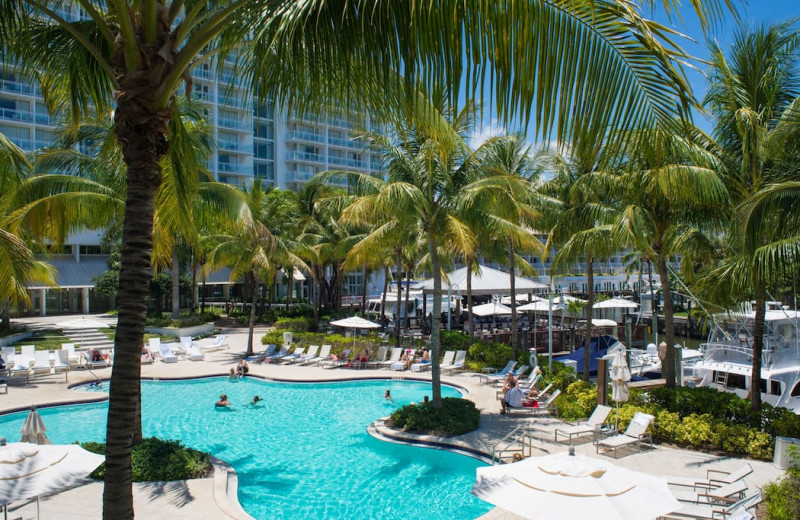 Outdoor pool at Hilton Fort Lauderdale Marina.