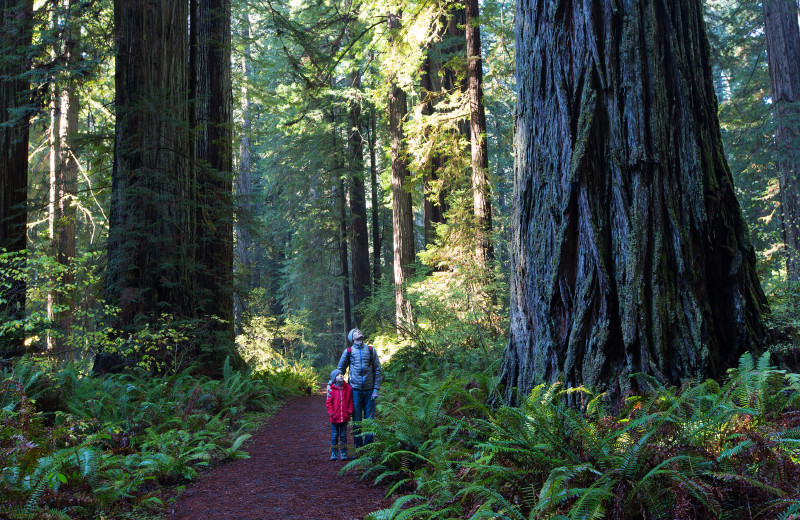 Hiking at Irish Beach Vacation Rentals.