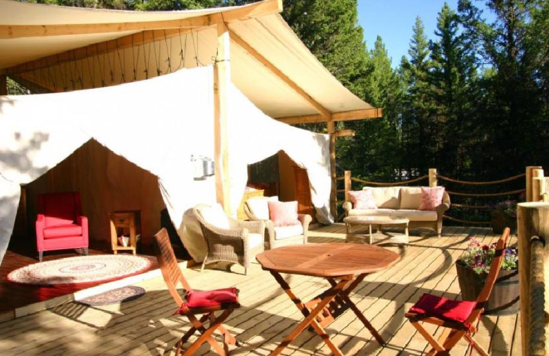 Canvas Cabin at Siwash Lake Ranch