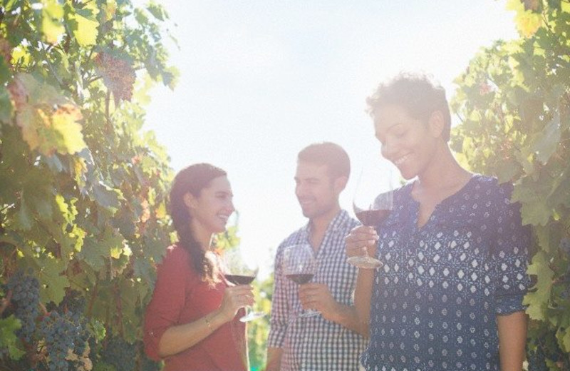Wine tasting at Harvest Inn by Charlie Palmer.