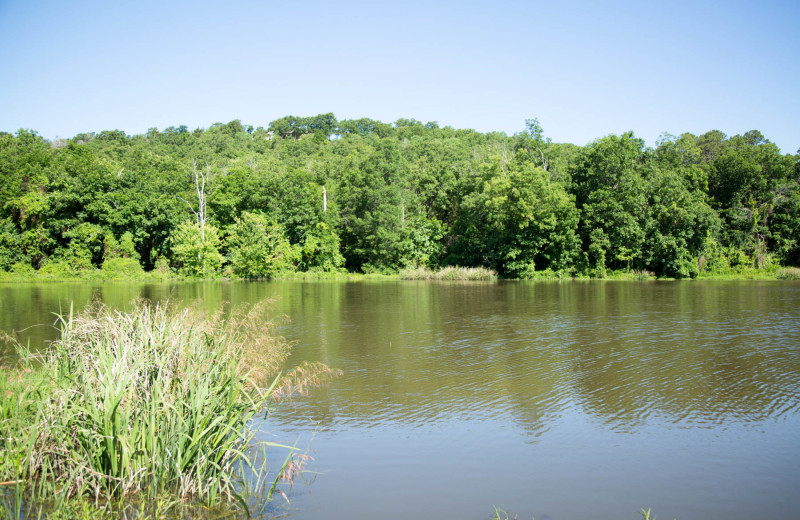 Lake view at Long Lake Resort.