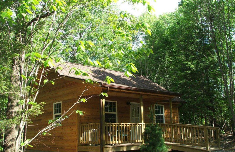 Cabin exterior at Big Pine Retreat.