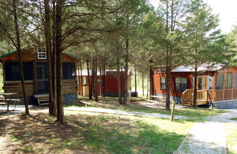 Cabins at Jellystone Park at Lake Monroe.