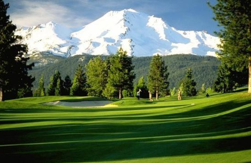 Golf Course at Mount Shasta Resort