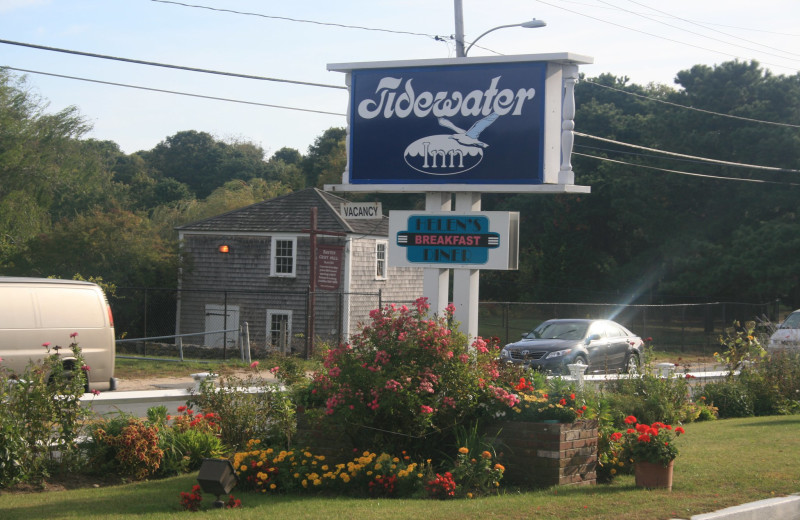 Tidewater Inn sign.