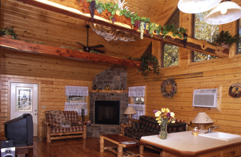 Interior view of Bear Mountain Log Cabins.