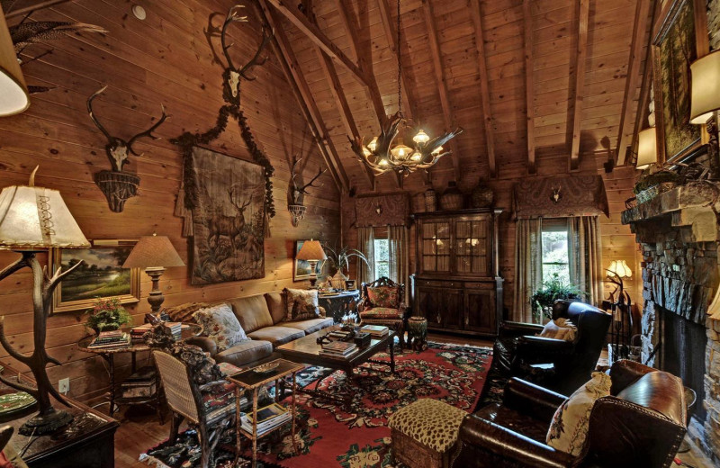 Cabin living room at Sliding Rock Cabins.