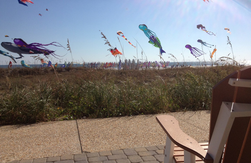 Kites on the beach at Shell Island Resort.