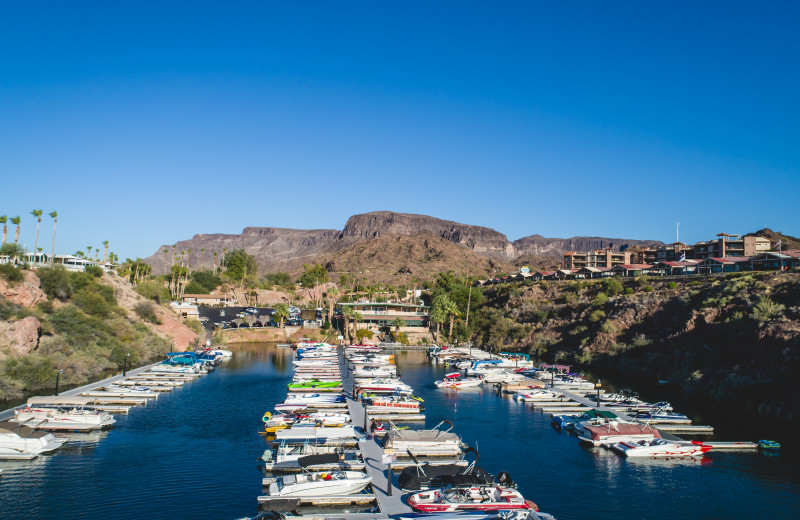 Marina at Havasu Springs Resort.
