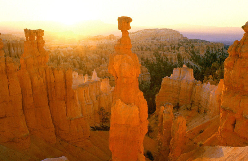 Thor's Hammer at Bryce View Lodge.