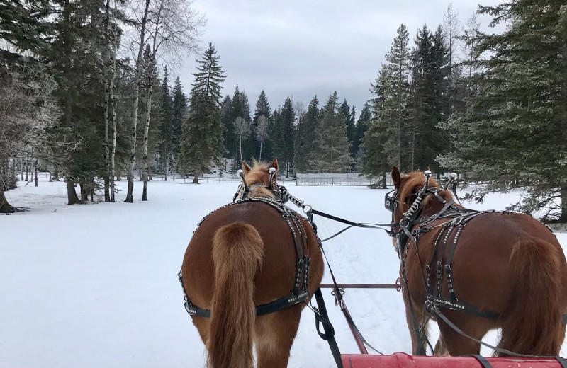 Sleigh ride at Bad Rock Bed 