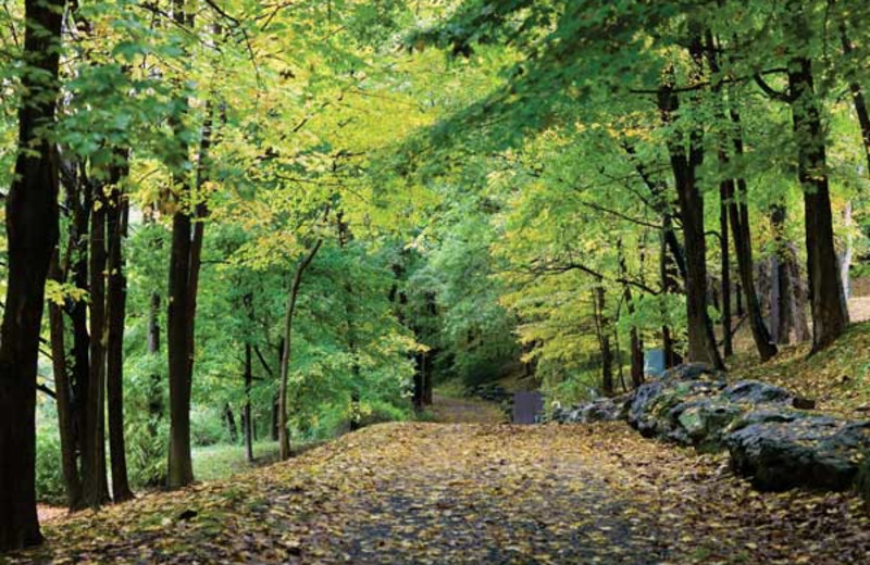 Beautiful walking trails at Wyndham Vacation Resorts Shawnee Village.