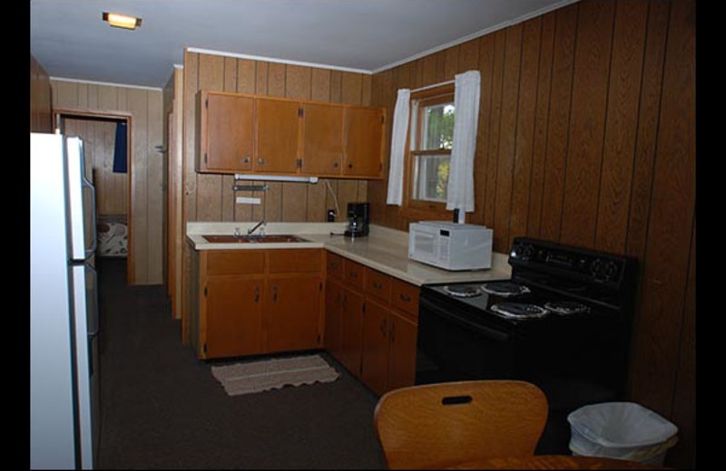 Cabin kitchen at Isle O' Dreams Lodge.