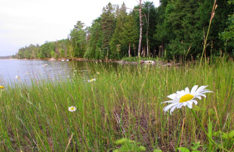 Lake view at UAW Black Lake.