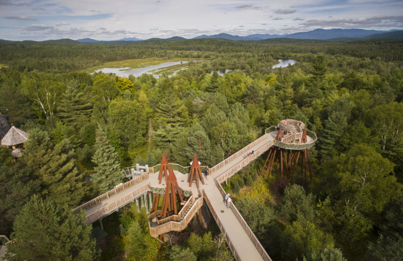 Wild Center near Golden Arrow Lakeside Resort.