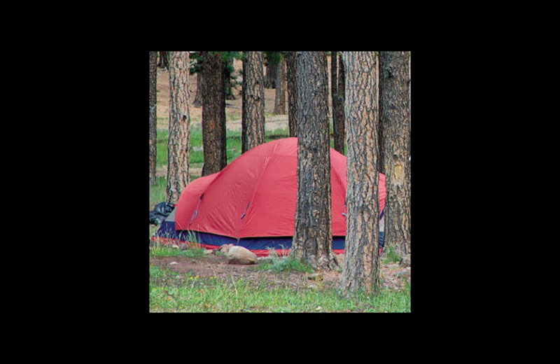 Camping at Monument Lake Resort.