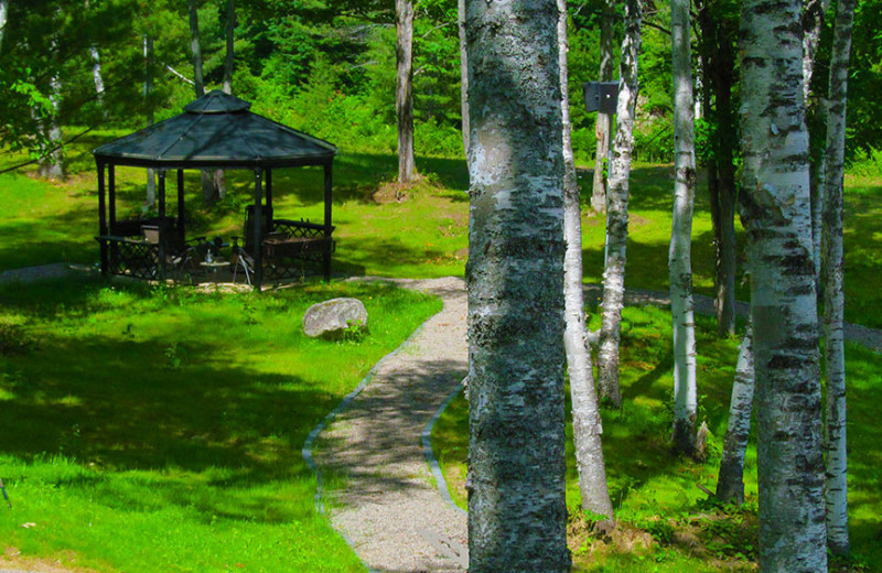 Grounds at Footprints Resort.