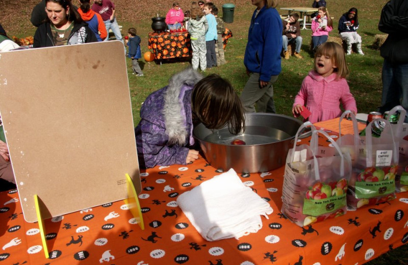 Fall Festival at Glen Falls House