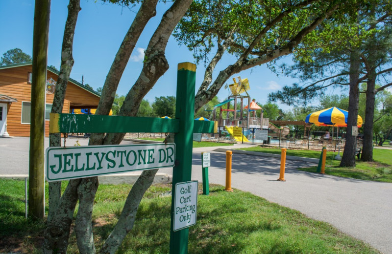 Exterior view of Lone Star Jellystone.