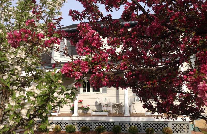 Exterior view of Williston Village Inn.