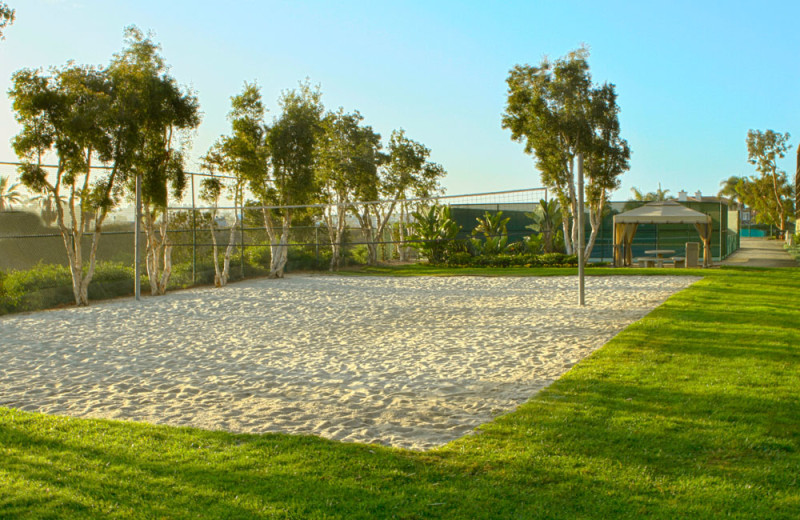 Sand Volleyball Courts On-Site at the Carlsbad Seapointe Resort