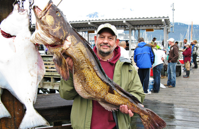 Alaskan ling cod fishing at Gone Fishin' Lodge.