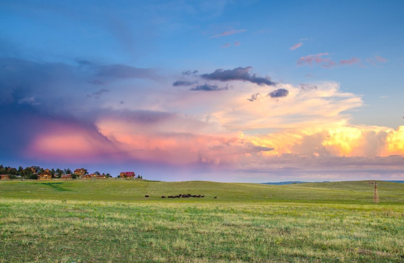 Beautiful colors at Zion Mountain Ranch.