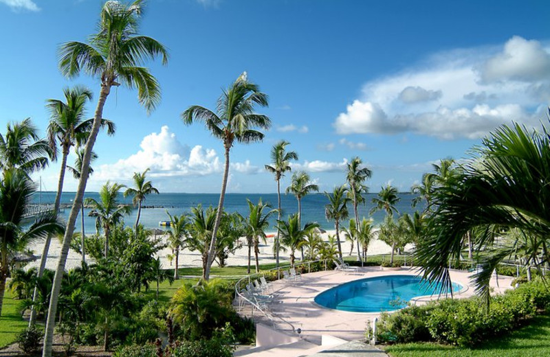 Outdoor pool at Abaco Beach Resort