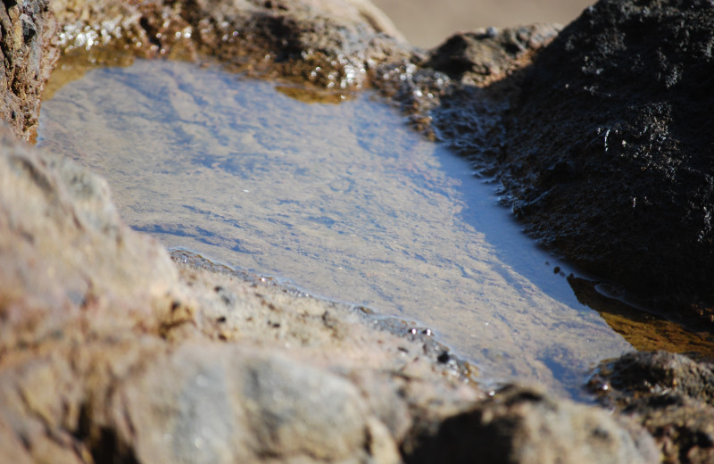 Tide pool at Admiral's Beach Retreat.