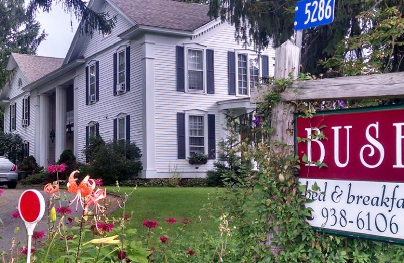 Bush Bed & Breakfast (Little Valley, NY) Resort Reviews
