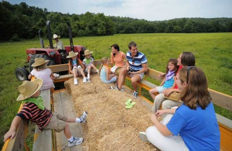 Hay rides at French Lick Resort.