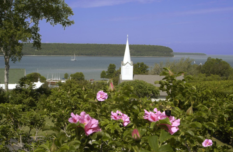 Eagle Harbor view at Harbor View Resort.